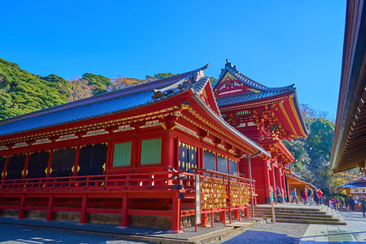 鎌倉の観光名所鶴岡八幡宮の見どころとは？詳しくご紹介！