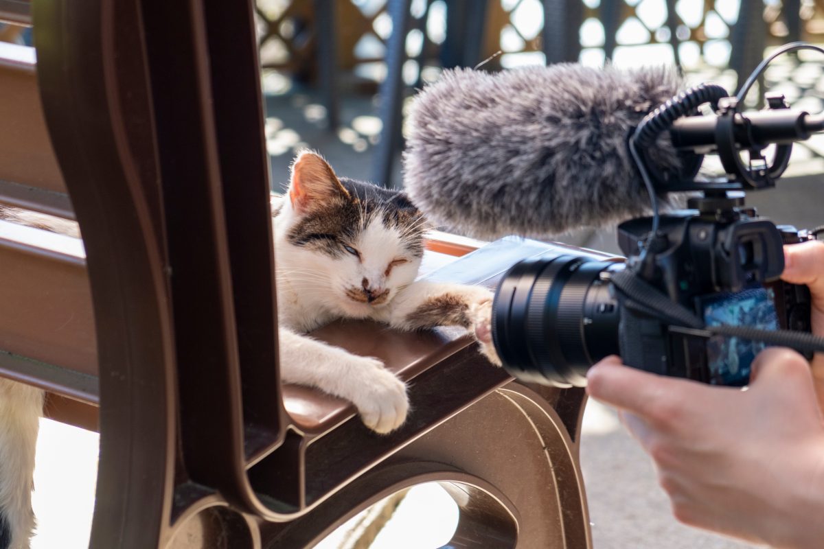 動画撮影はカメラが決め手になる！動画撮影とカメラについて解説